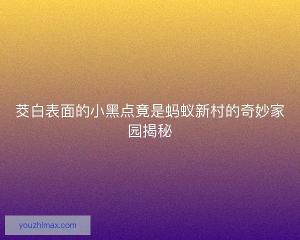 茭白表面的小黑点竟是蚂蚁新村的奇妙家园揭秘